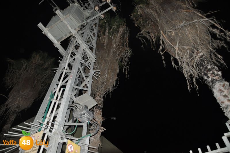 cat lud 910 (28).JPG